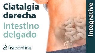 Ejercicios para la ciatica fisioterapia online